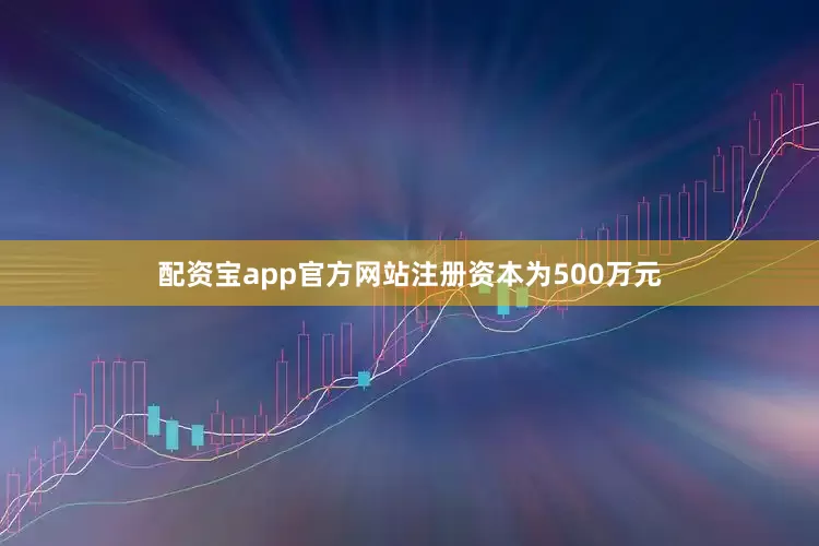 配资宝app官方网站注册资本为500万元