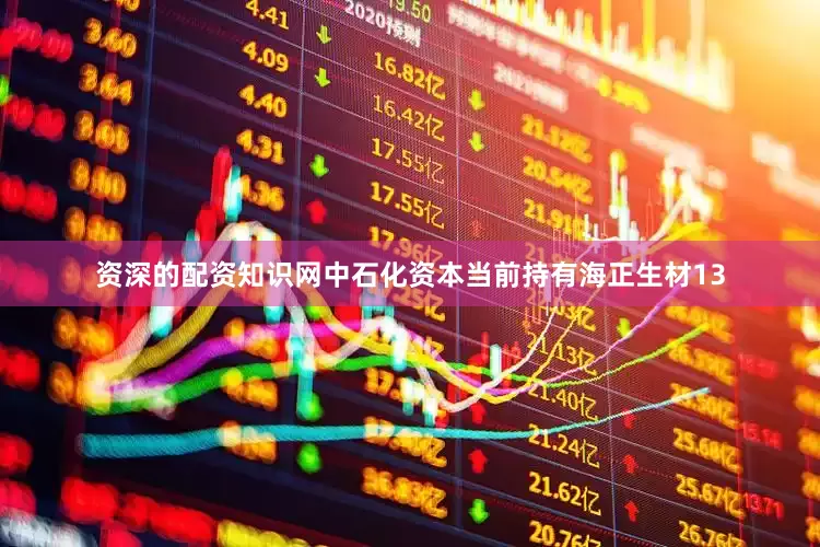 资深的配资知识网中石化资本当前持有海正生材13