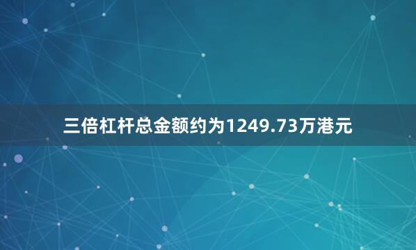 三倍杠杆总金额约为1249.73万港元